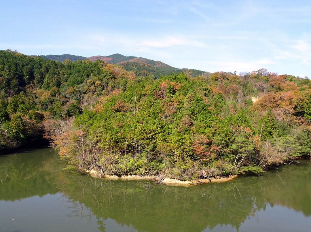 Sugimura Park景点图片