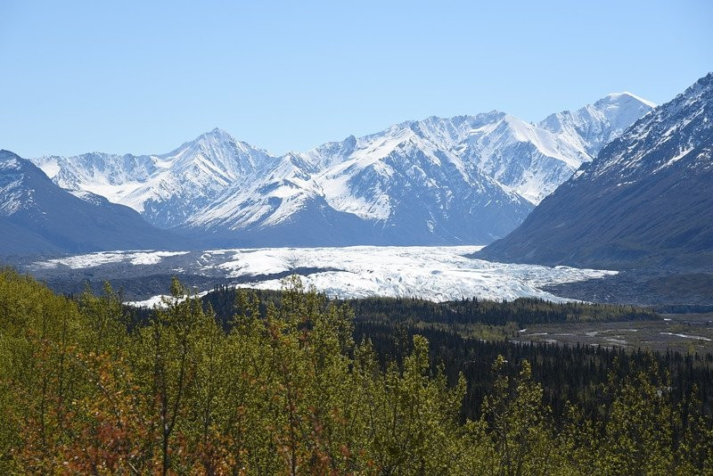 Matanuska Glacier State Recreational Site景点图片