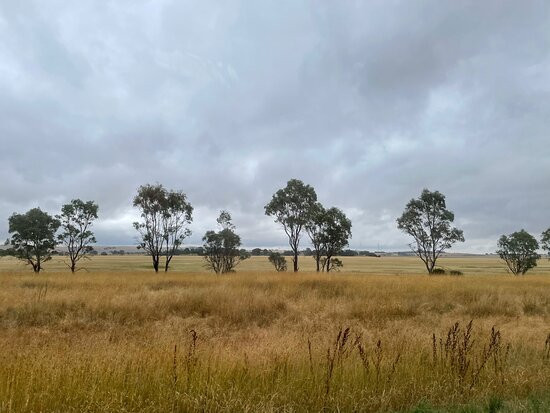 Lake Goldsmith-Beaufort必去景点