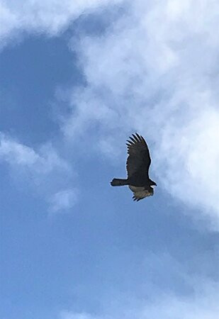 Cedar Point Environmental Park-恩格尔伍德必去景点