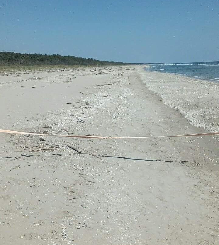 Spiaggia della Bassona景点图片