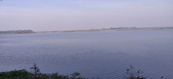 Harike Wetland and Bird Sanctuary景点图片