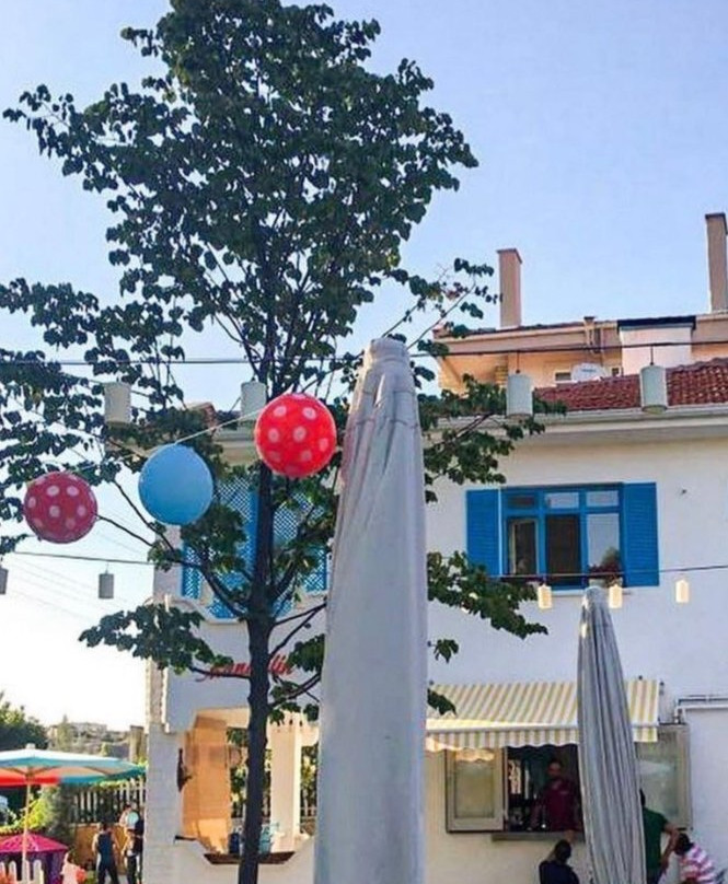 Alacati Yel Degirmenleri景点图片