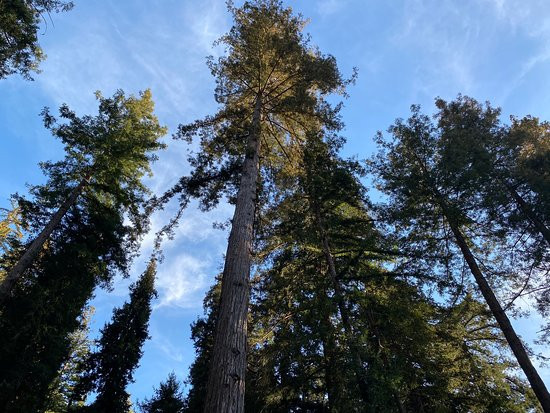 Deetjen's Big Sur Inn主图