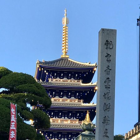 Nakayama-dera Temple Gojunoto景点图片