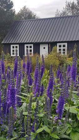 Akureyri Botanical Garden景点图片