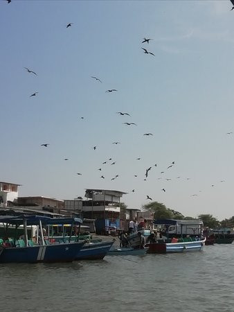 Zoocriadero de Cocodrilos-Tumbes必去景点
