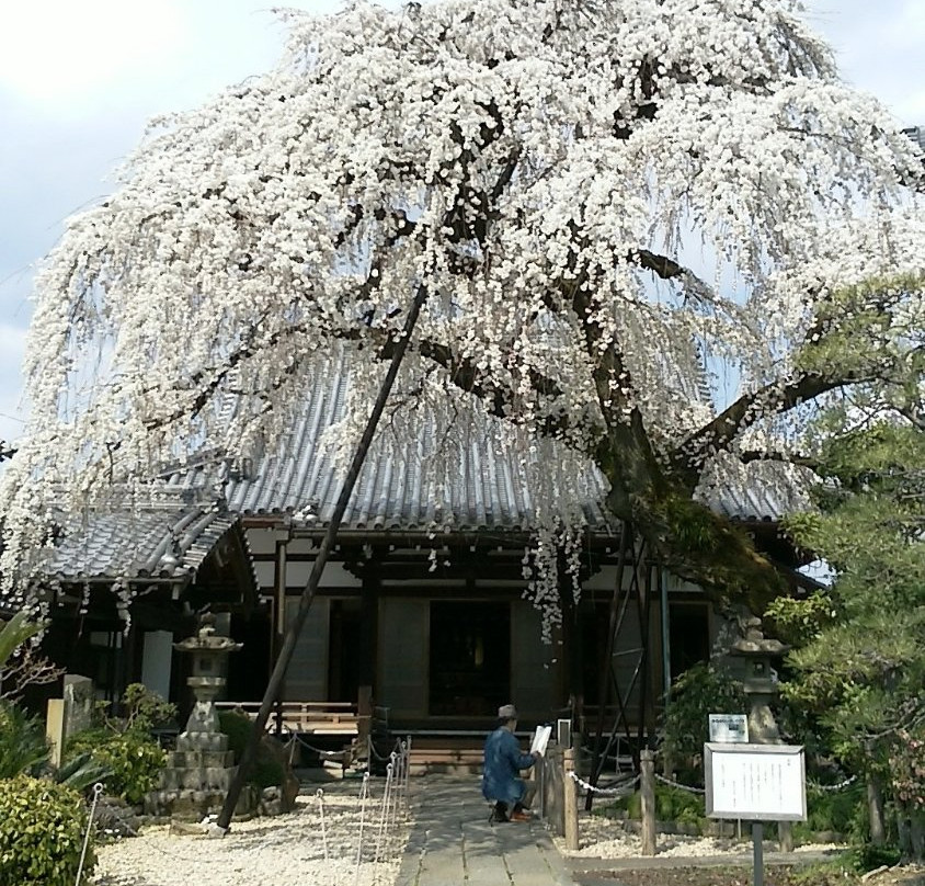 Emmyo-ji Temple-犬山市必去景点
