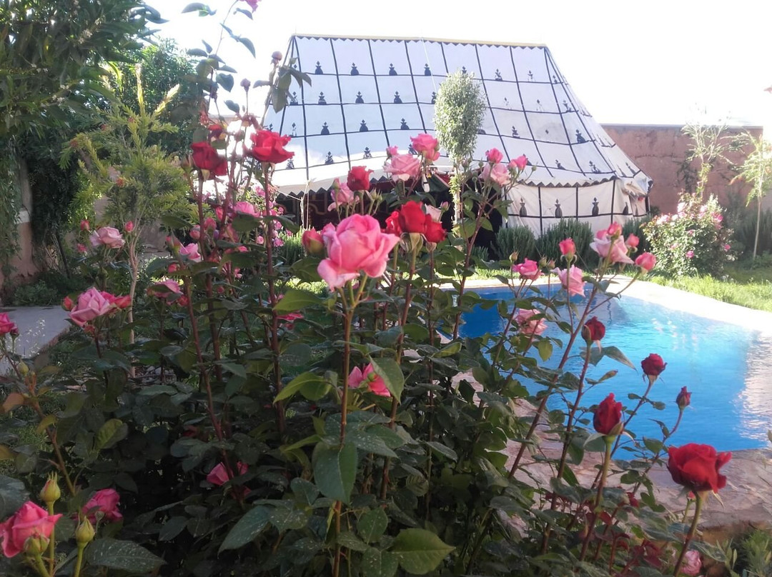 Riad Roses