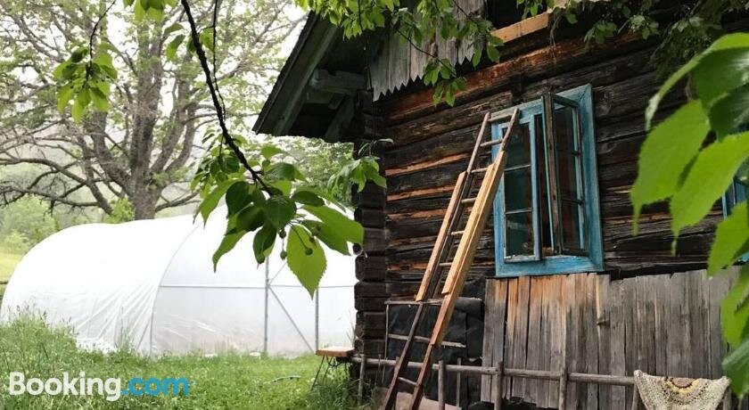 Authentic Home