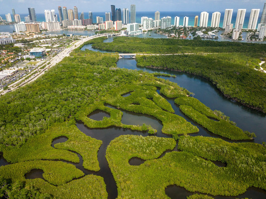 Get Up And Go Kayaking - Miami-北迈阿密海滩必去景点