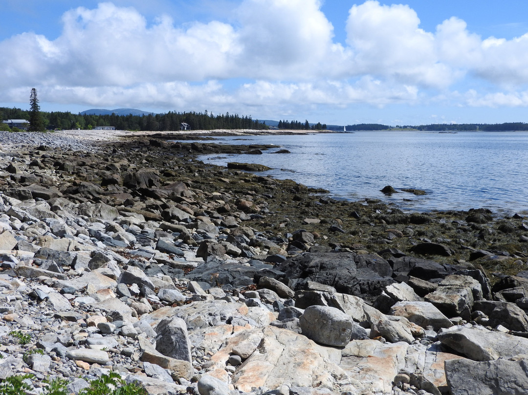 Seawall Picnic Area景点图片