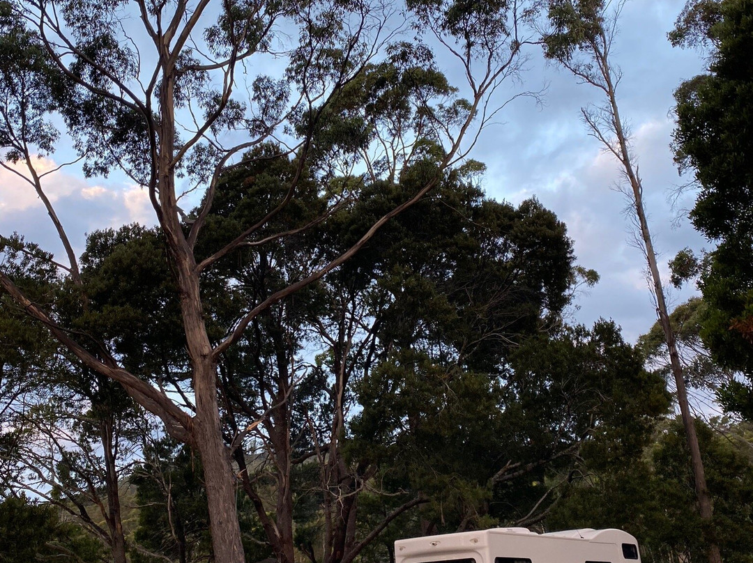 Wayatinah旅游攻略图片