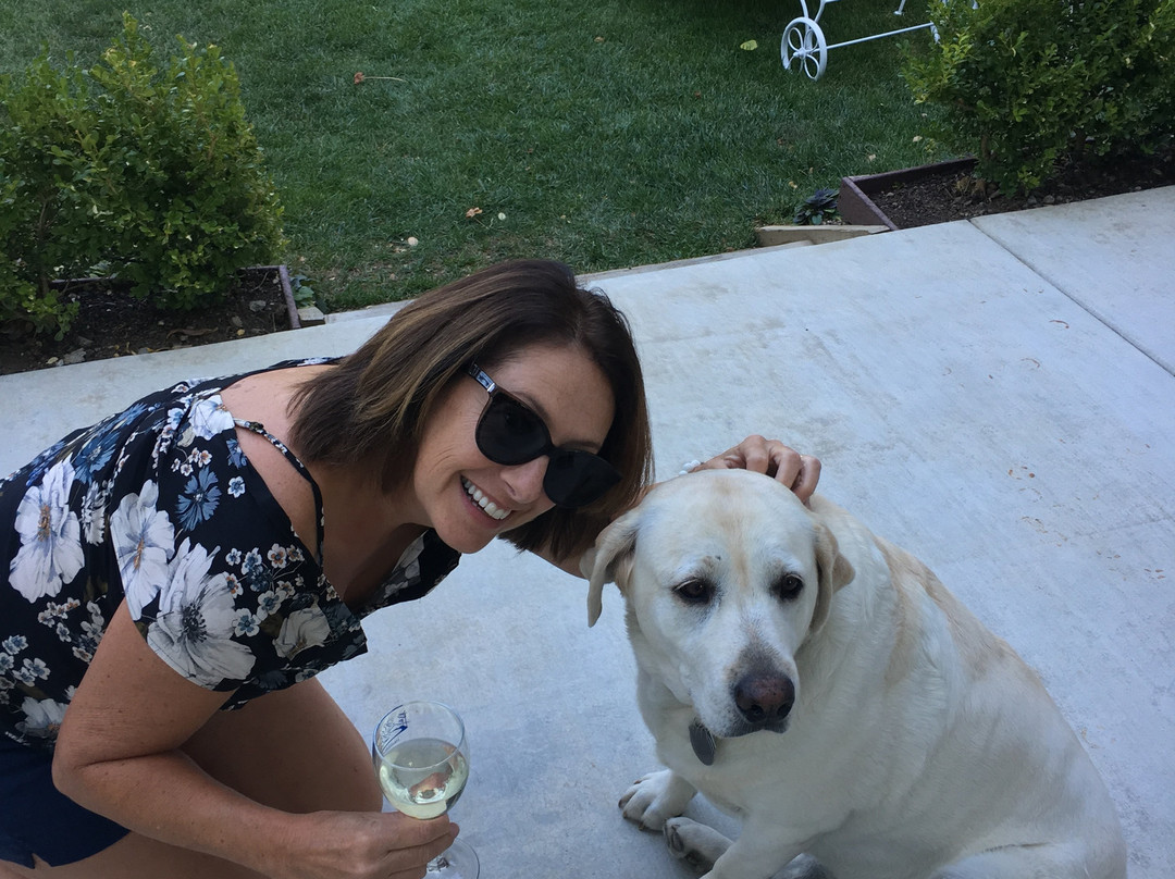 River Belle Inn主图