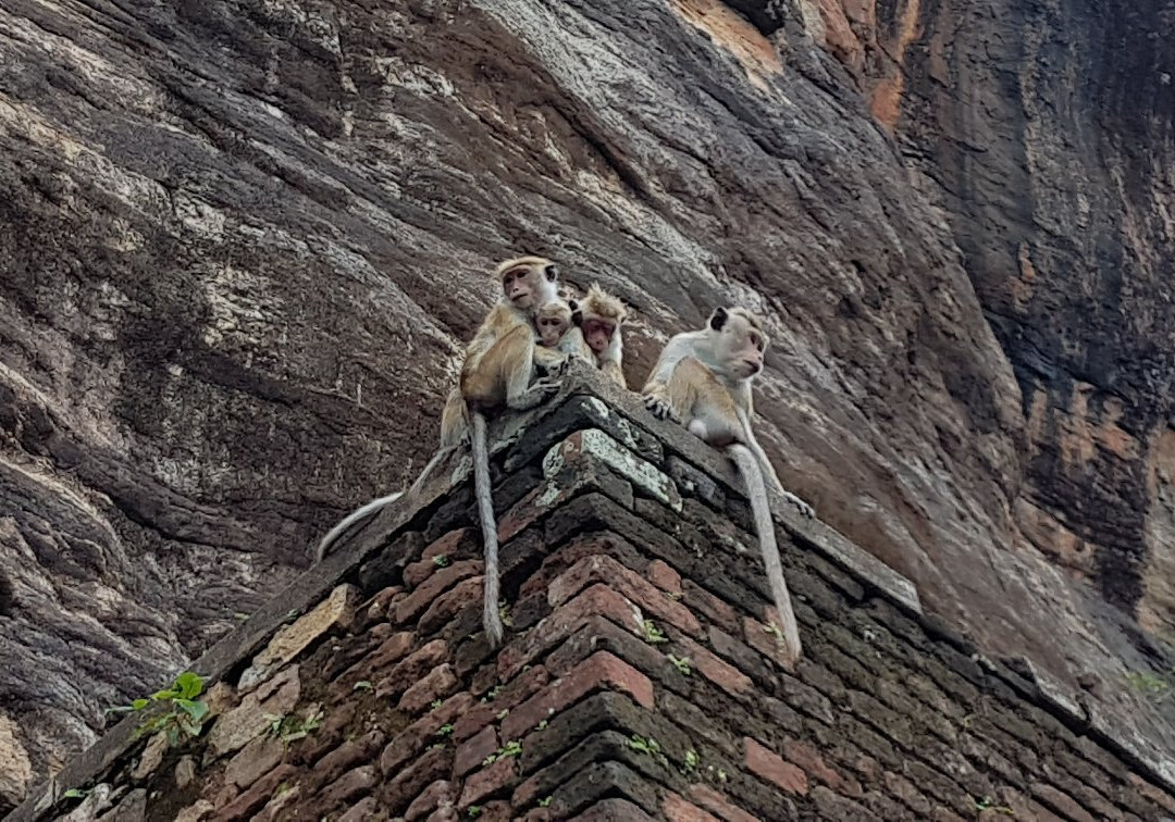 Sri Lanka In Auto-Wennappuwa必去景点