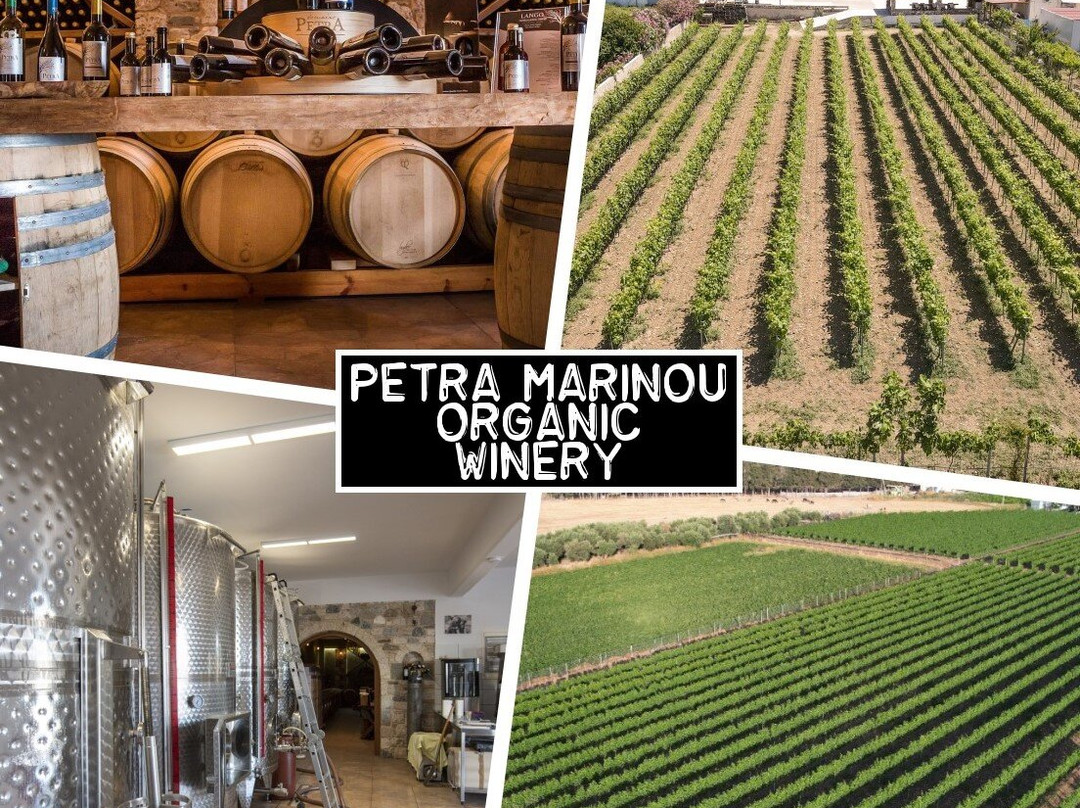 Petra Marinou Winery