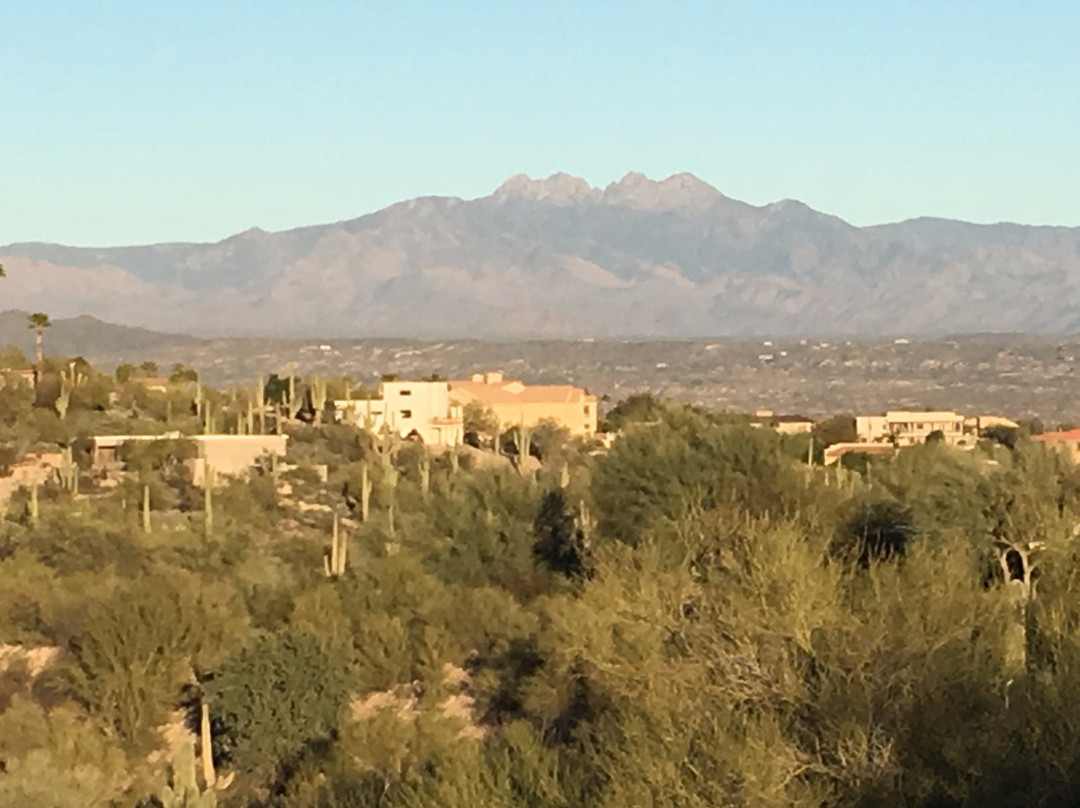 Fountain Hills Botanical Garden景点图片