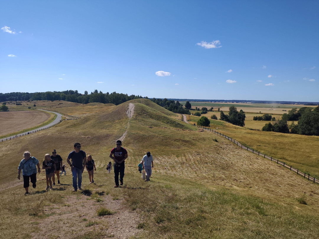 Gamla Uppsala Kungshögarna