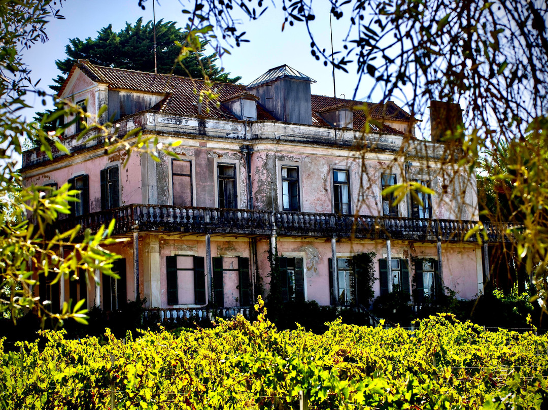 Quinta São João Batista景点图片