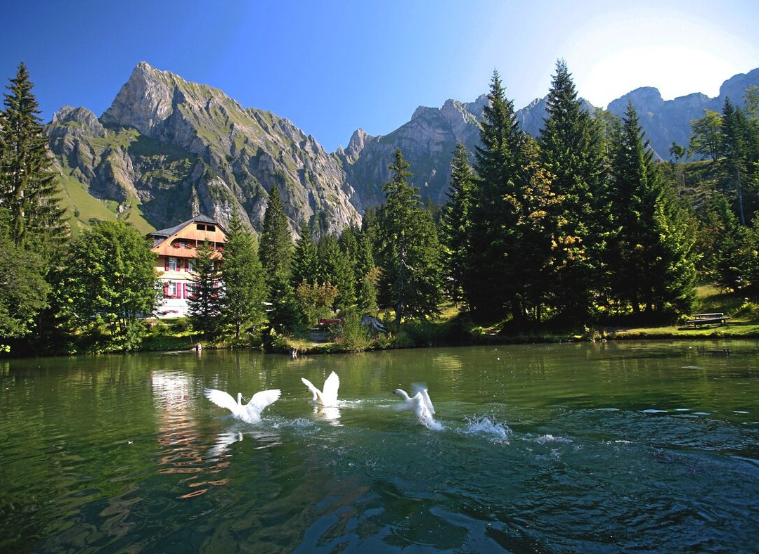 Berschis餐馆和美食-Hotel Kurhaus Sennis