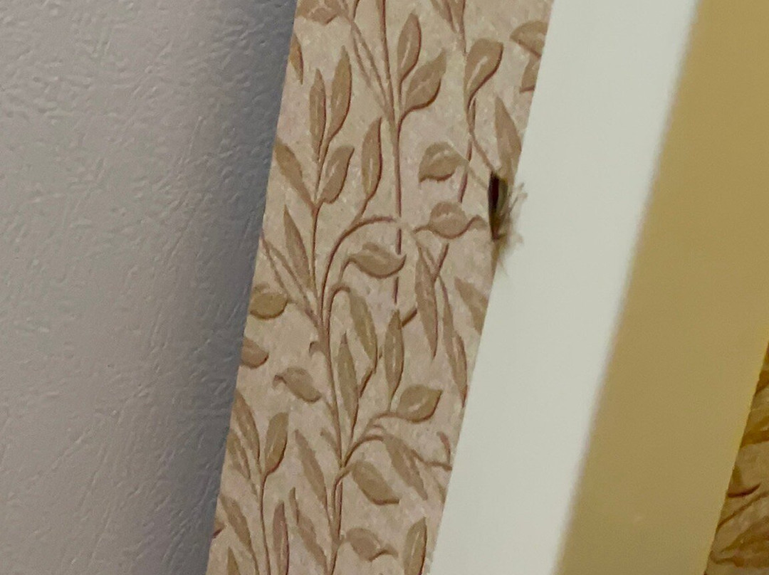 Homewood Suites by Hilton Richmond-Chester主图