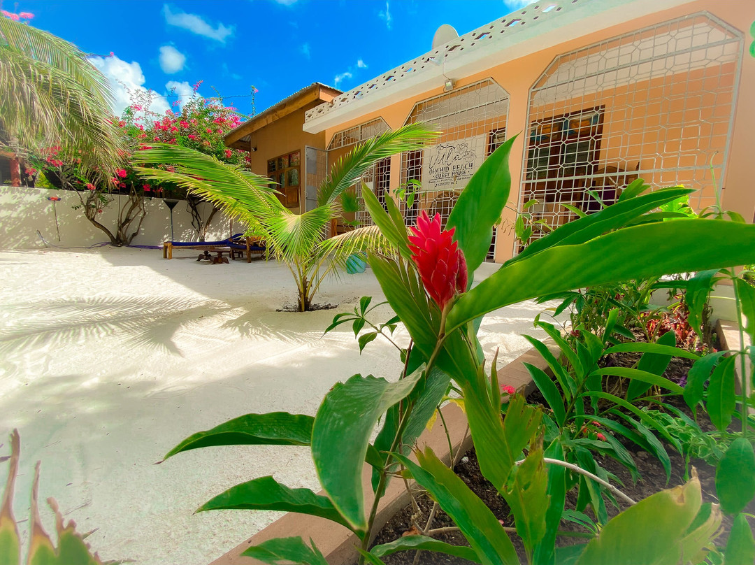 Villa Orchid Beach Guest House
