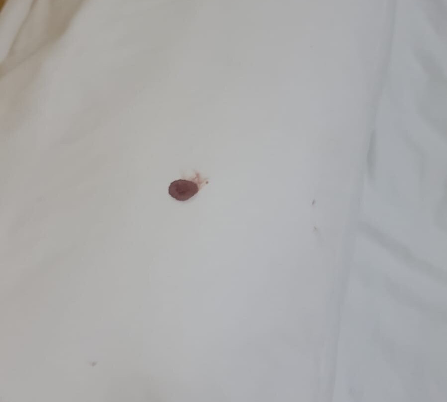 Hotel Casa Jima Agave