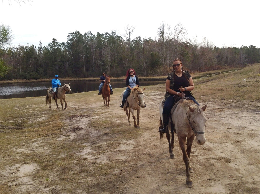 Desperado Horse Farm-Rocky Point必去景点