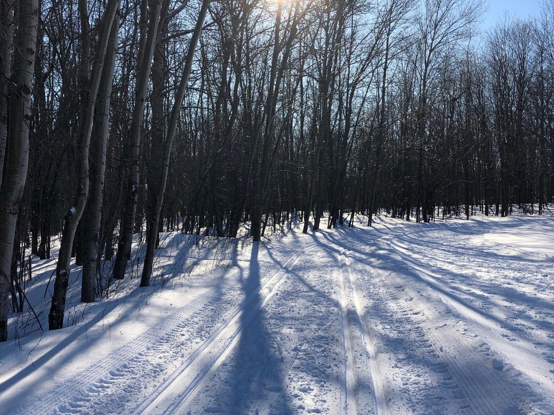 Parc Michel-Chartrand-隆格伊必去景点