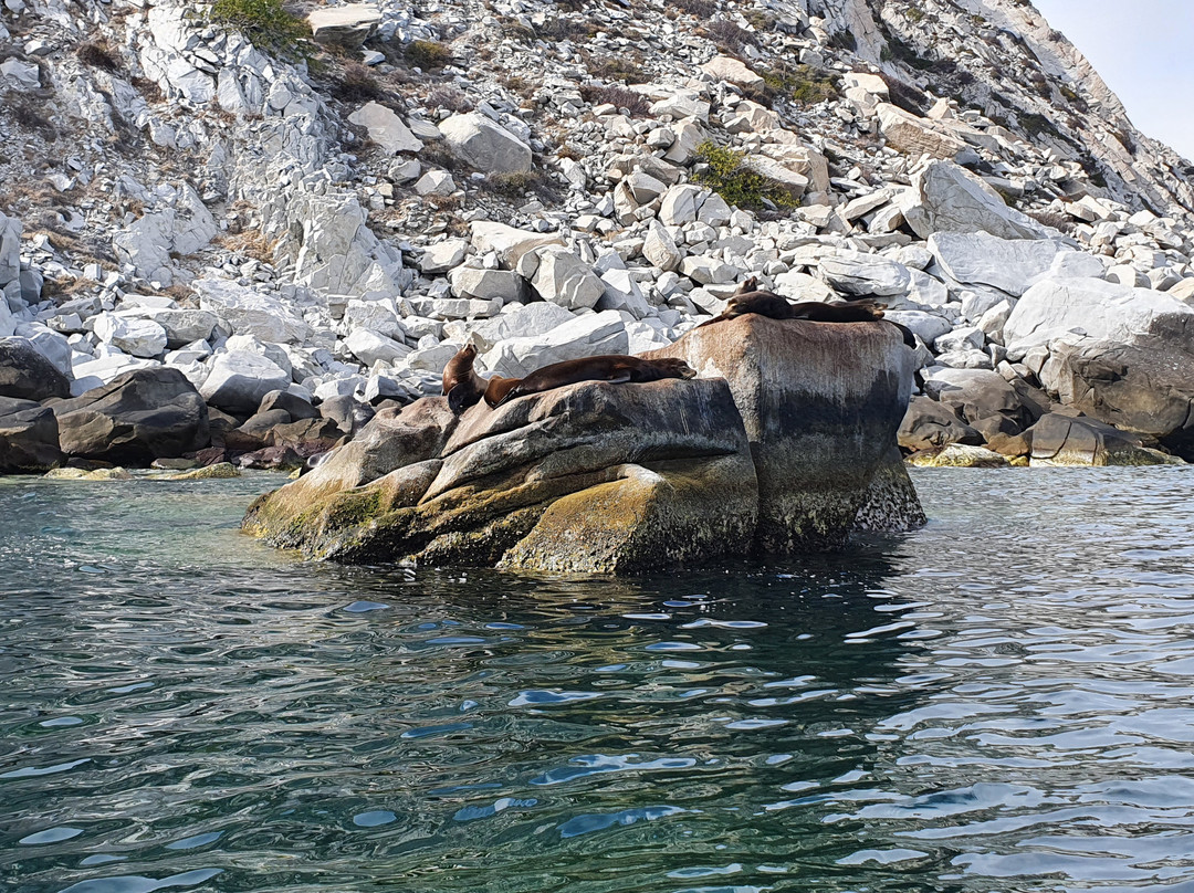 Cabo Pulmo Eco Adventures-Cabo Pulmo必去景点