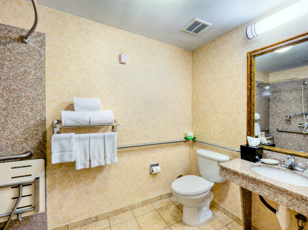 Holiday Inn Express & Suites Granbury By IHG主图