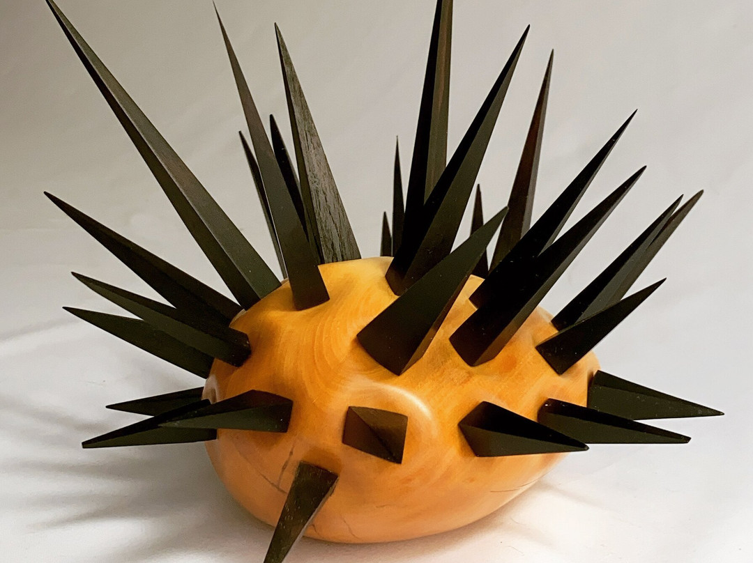 YAVA Gallery & Arts Hub-希尔斯维尔必去景点