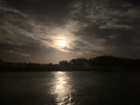 Run Amuk Cruises-黄金海岸必去景点