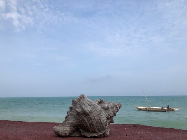 Samaki Lodge & Spa-泳池