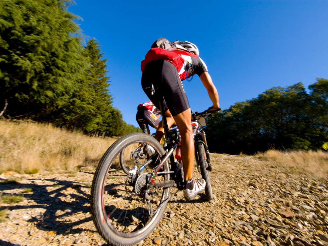 Portugal A2Z Walking & Biking-莱里亚必去景点