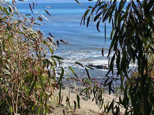 Coronado Butterfly Preserve-戈利塔必去景点