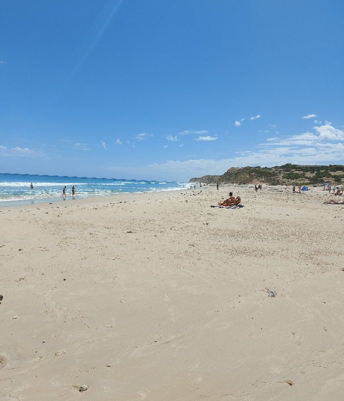 Jetty Pylons-Port Willunga必去景点
