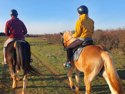 Saddle Club Zadar Horseback Riding Centre-扎达尔必去景点