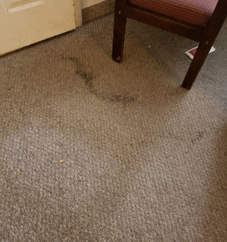 Dinner Bell Motel主图