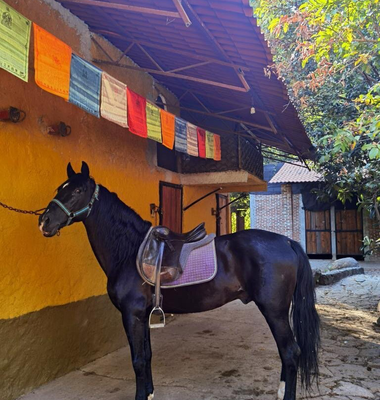 Rancho El Reencuentro景点图片