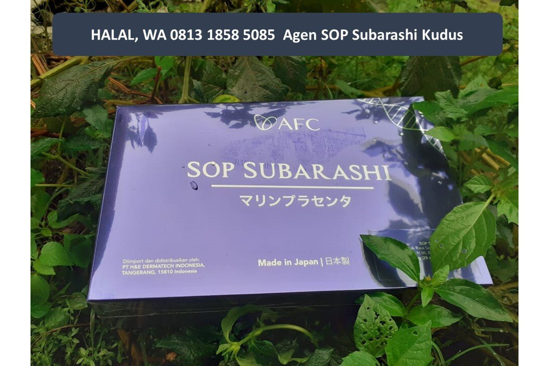 格雷普萨酒店主图