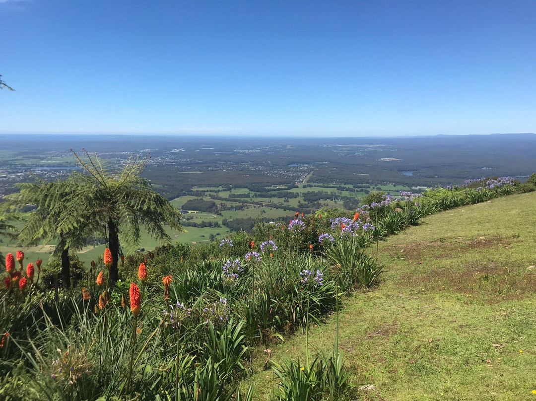 Cambewarra Mountain Lookout景点图片