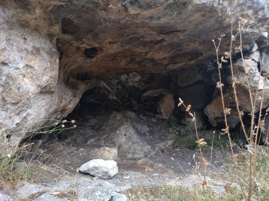 Limestone Cliffs Walk-Naracoorte必去景点