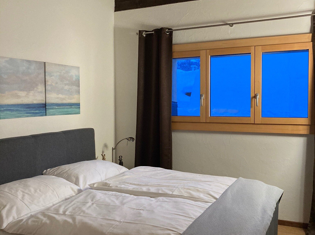 Arsa Lodge Silvaplana主图