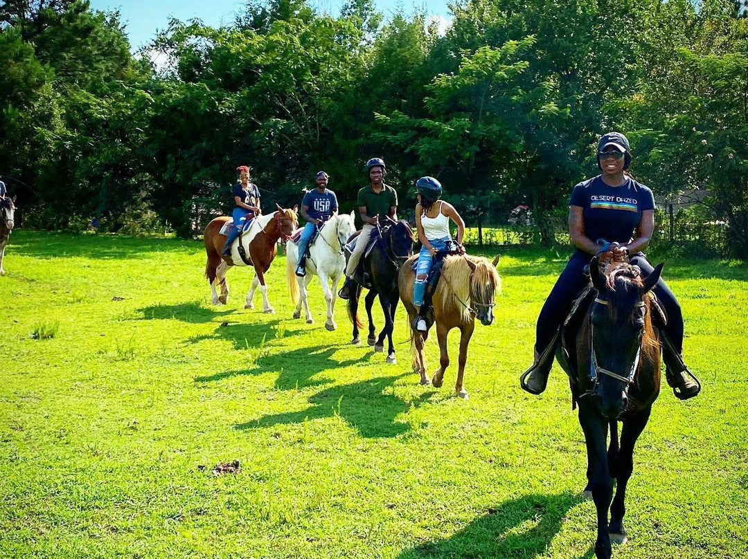 Kay’s Acres-Suffolk必去景点