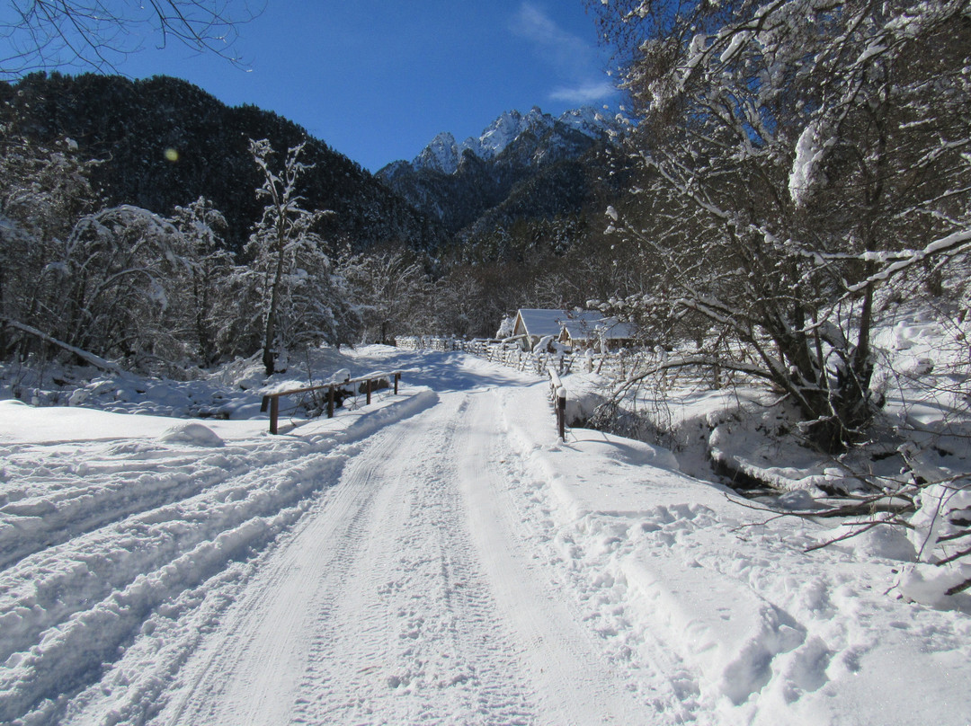 Teberdinsk State Biosphere Reserve-Teberda必去景点