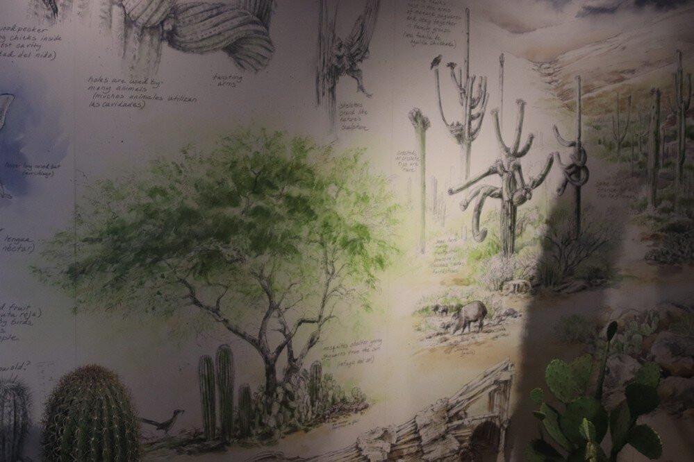 萨格鲁国家公园-图森必去景点