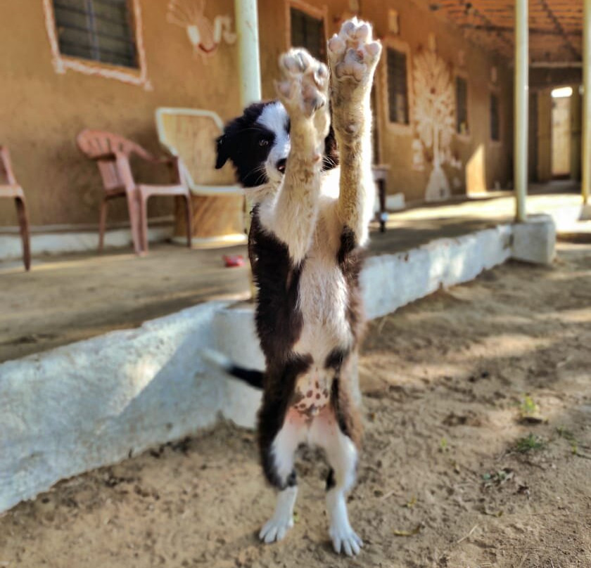 NotOnMap - Nora Homestay主图