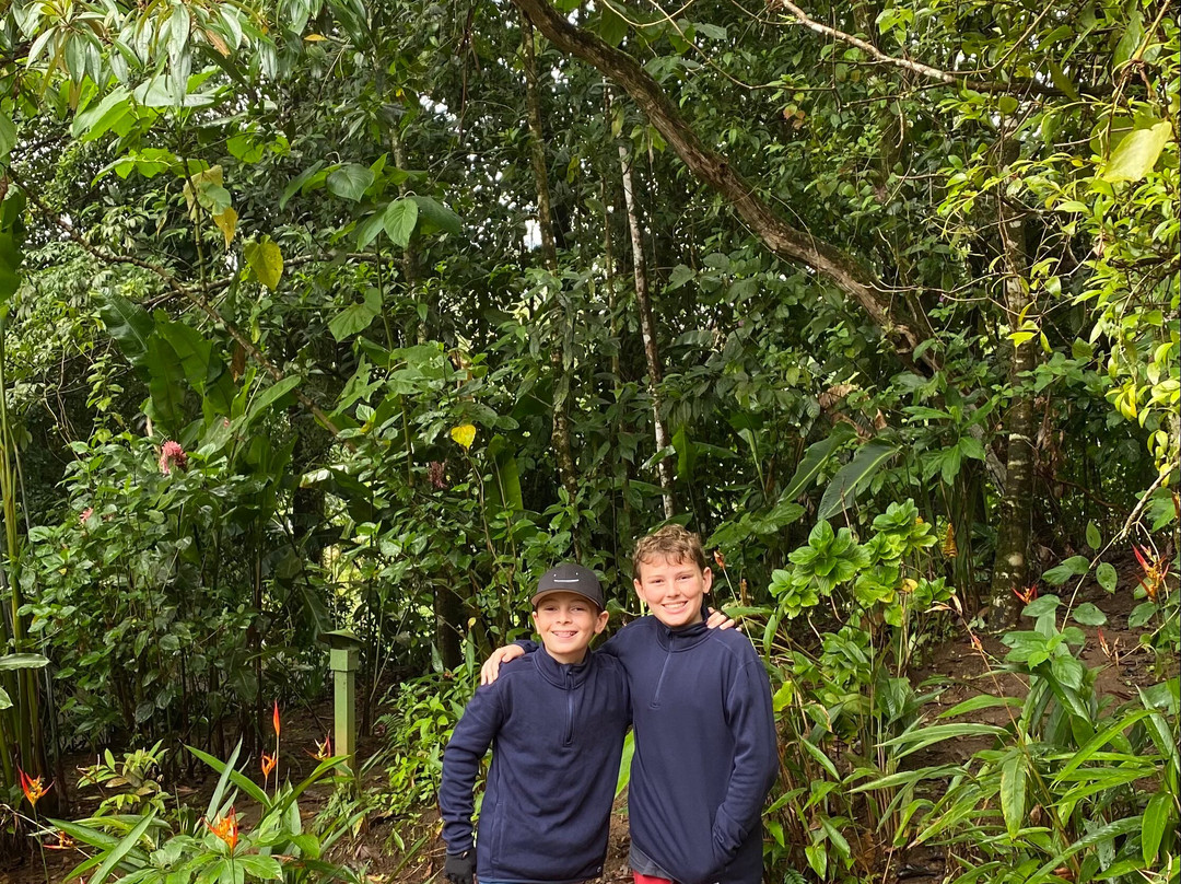 Casitas Tenorio B&B主图