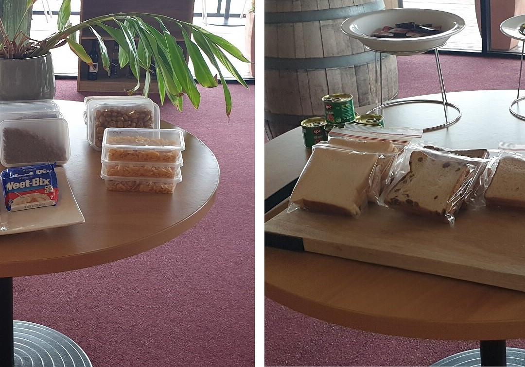 Turner's Vineyard主图